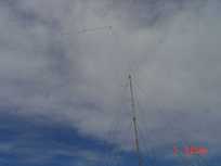 10m usa yagi.JPG